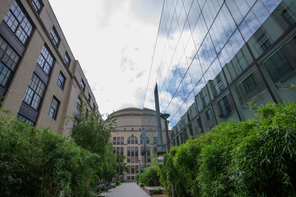 MIT Quantum Initiative launches postdoctoral fellowship program | MIT News